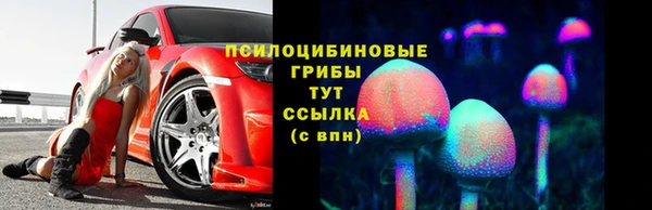 СК Алексин