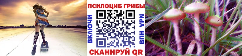 наркотики  Ярославль  Галлюциногенные грибы мухоморы 