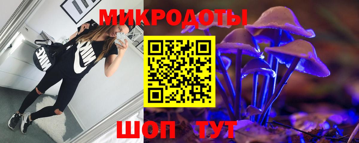 Ярославль  Псилоцибиновые грибы GOLDEN TEACHER  Вход с VPN 